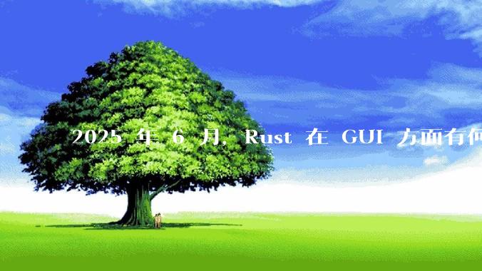 2025 年 6 月,Rust 在 GUI 方面有何大的进展? 你最看好哪个框架?