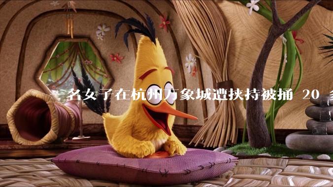 一名女子在杭州万象城遭挟持被捅 20 多刀,隆胸***体救了一命,这反映出哪些公安系统的问题?